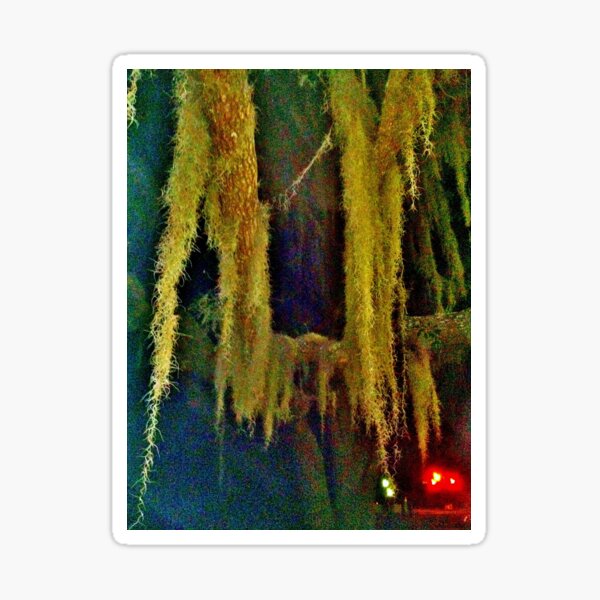 Item preview, Spanish Moss at Night designed and sold by talkingtheblues.