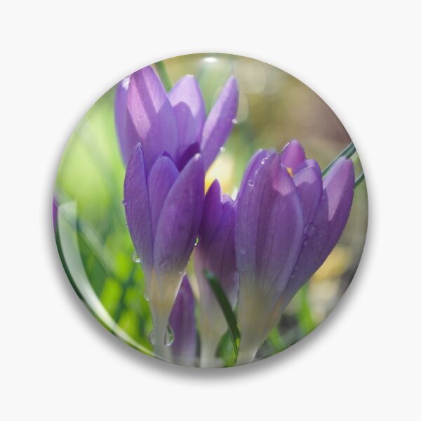 Item preview, Spring Crocuses designed and sold by Alisonchambers2.
