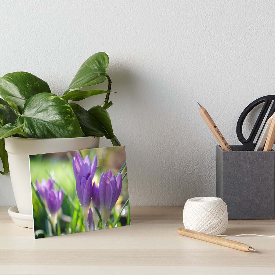 Item preview, Art Board Print designed and sold by Alisonchambers2.