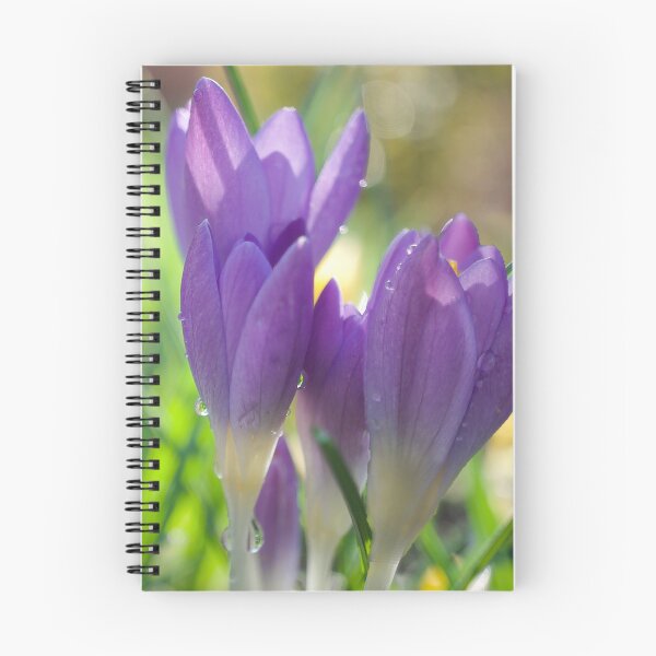 Item preview, Spring Crocuses designed and sold by Alisonchambers2.