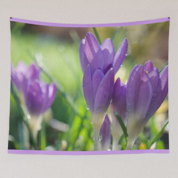 Item preview, Spring Crocuses designed and sold by Alisonchambers2.