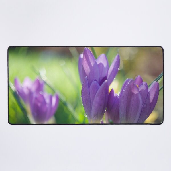 Item preview, Spring Crocuses designed and sold by Alisonchambers2.