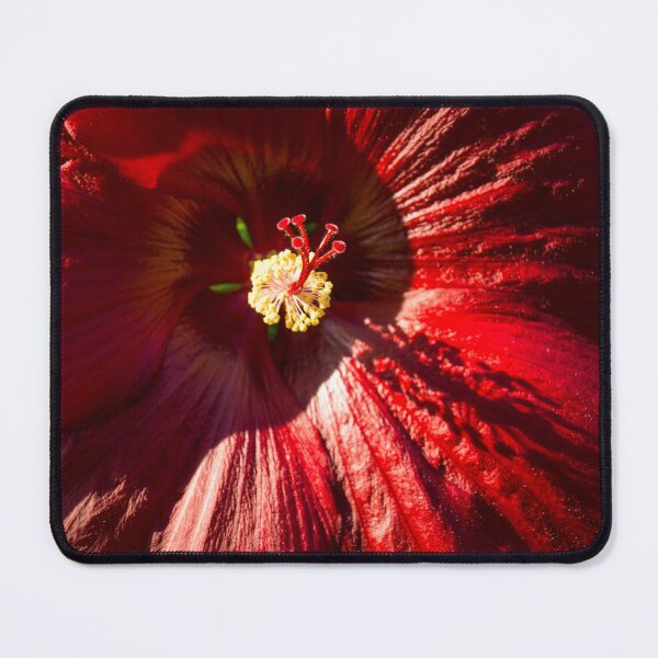 Item preview, Heartwarming Hibiscus Bloom in Rich Blood Red designed and sold by Georgia Mizuleva.