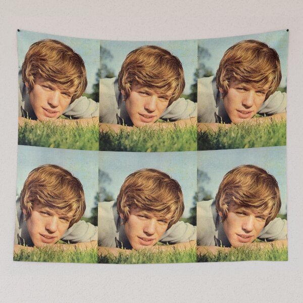 Item preview,  peter noone handsome designed and sold by appa-sr.