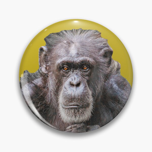 Item preview, Chimpanzee - Watching you designed and sold by Dalyndigital Photography.
