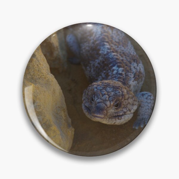Item preview, Bobtail in Nambung (Tiliqua rugosa) designed and sold by lezvee.