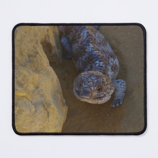 Item preview, Bobtail in Nambung (Tiliqua rugosa) designed and sold by lezvee.