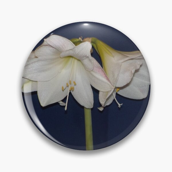 Item preview, Hippeastrum - White Amaryllis designed and sold by lezvee.
