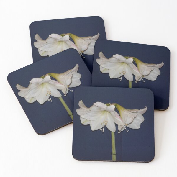 Item preview, Hippeastrum - White Amaryllis designed and sold by lezvee.
