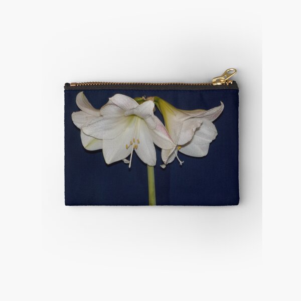 Item preview, Hippeastrum - White Amaryllis designed and sold by lezvee.