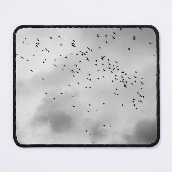 Item preview, A Clattering of Jackdaws designed and sold by StephenPower.