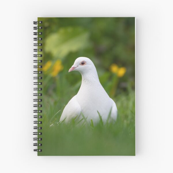 Item preview, White dove designed and sold by KatieTannerpics.