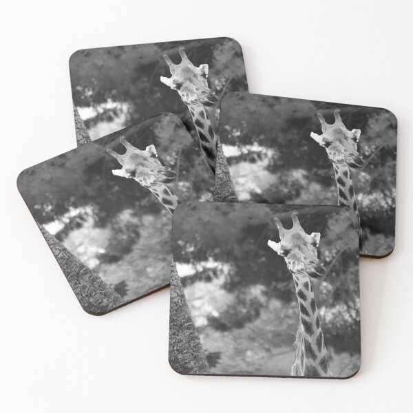 Item preview, Jerez Zoo Giraffe Vertical Black and White designed and sold by eddiebarronshop.