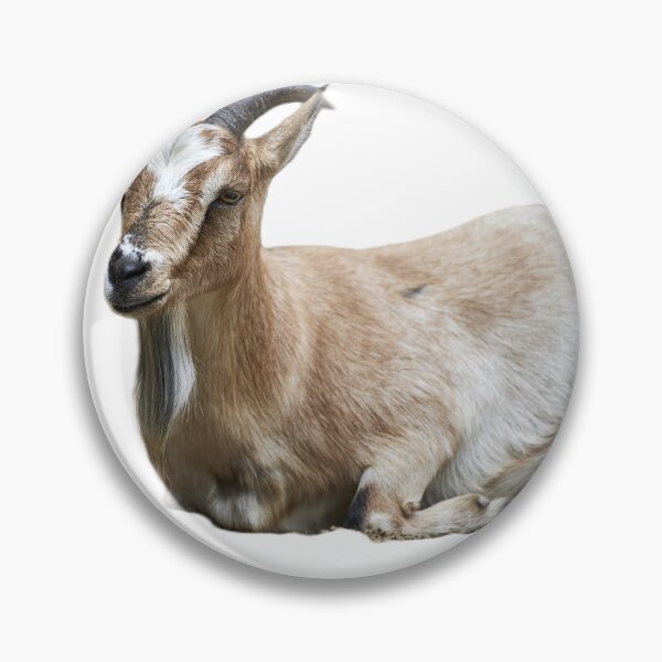 Item preview, Beautiful Chamois designed and sold by ThomasFoto.