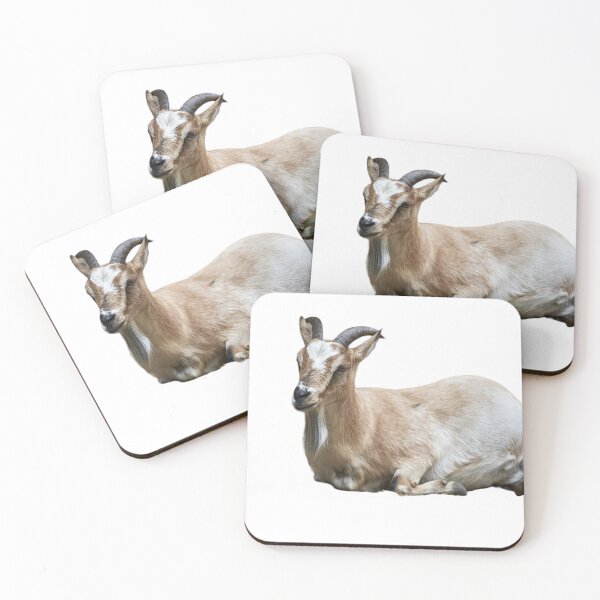 Item preview, Beautiful Chamois designed and sold by ThomasFoto.