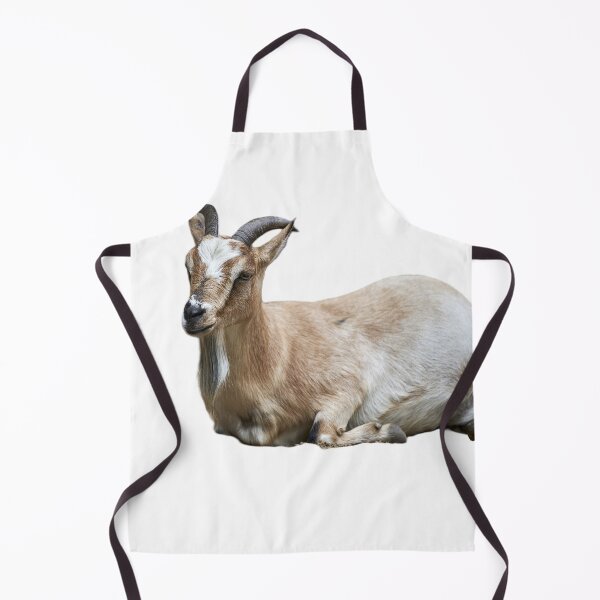 Item preview, Beautiful Chamois designed and sold by ThomasFoto.