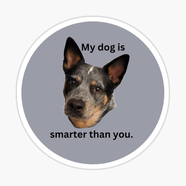 Item preview, My dog is smarter than you designed and sold by vcalemine.