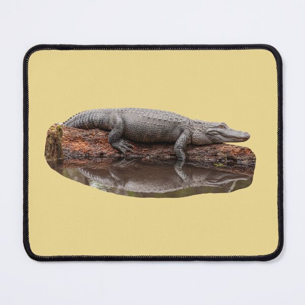 Item preview, Just lazing Gator designed and sold by Dalyndigital Photography.