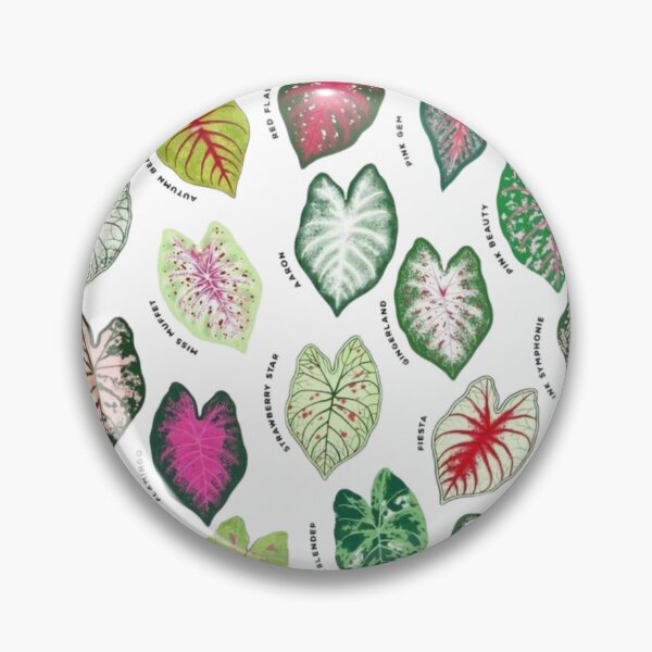 Item preview, Caladium Stickers designed and sold by Bassabice.