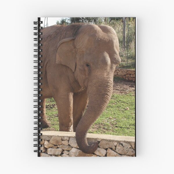 Item preview, Majestic Elephant Head designed and sold by EpicVistas.