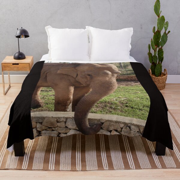Item preview, Majestic Elephant Head designed and sold by EpicVistas.