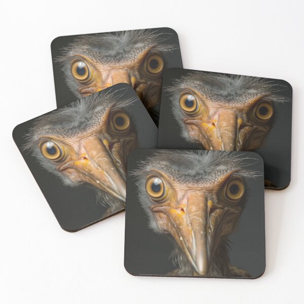 Item preview, The Eccentric Bird Portrait designed and sold by EtherealEchoes.