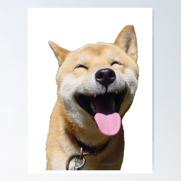 Item preview, lengua shiba designed and sold by Infinitehub.