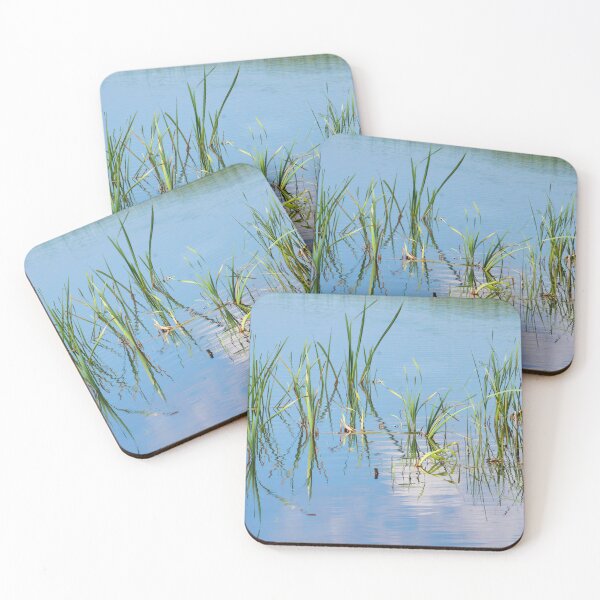 Item preview, Greylake Nature Reserve Somerset England designed and sold by Dorset Girl.