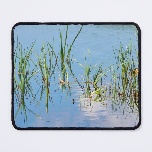 Item preview, Greylake Nature Reserve Somerset England designed and sold by Dorset Girl.