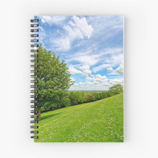 Item preview, Views of Southgate Moor and the Somerset Levels from Burrow Mump  designed and sold by Dorset Girl.