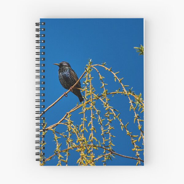 Item preview, Treetop Starling designed and sold by Eidetic Photos.