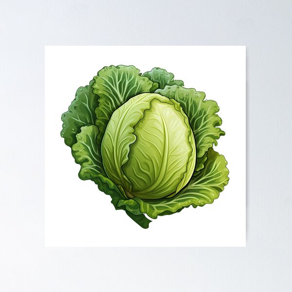 Item preview, cabbage - farmers market veggie designed and sold by Weirdanya.