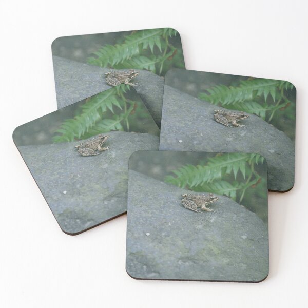 Item preview, little frog .  designed and sold by diana rogagels.