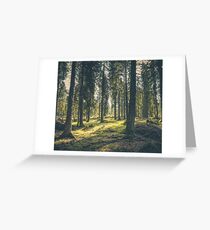 Into the Forest Greeting Card
