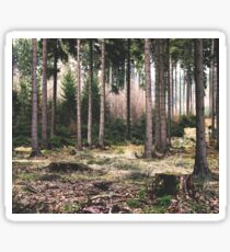 A Quiet Forest Sticker