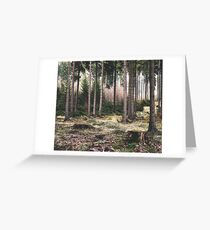 A Quiet Forest Greeting Card