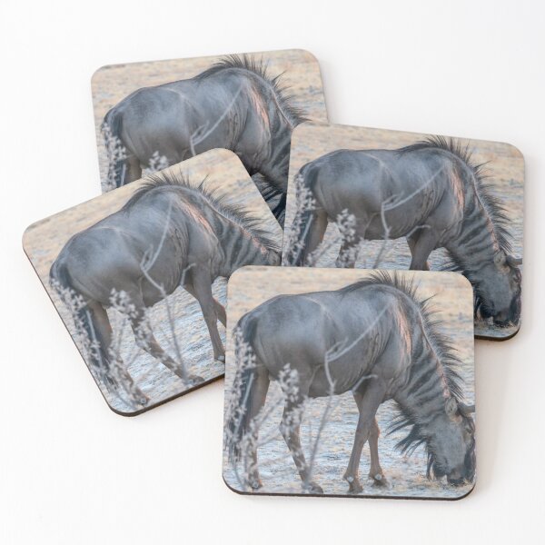 Item preview, Namibia. Etosha National Park. Wildebeest.  designed and sold by vadim19.