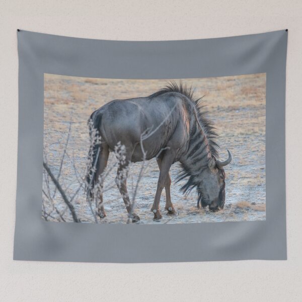Item preview, Namibia. Etosha National Park. Wildebeest.  designed and sold by vadim19.