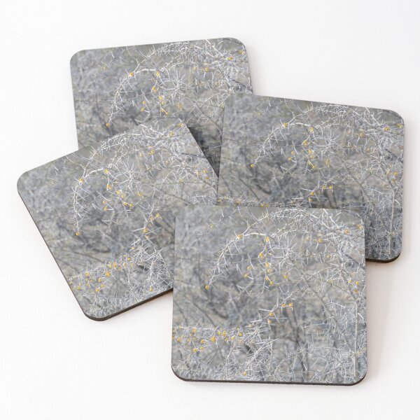 Item preview, Namibia. Etosha National Park. Spiky Vegetation with Yellow Berries.  designed and sold by vadim19.