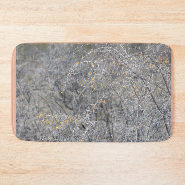 Item preview, Namibia. Etosha National Park. Spiky Vegetation with Yellow Berries.  designed and sold by vadim19.