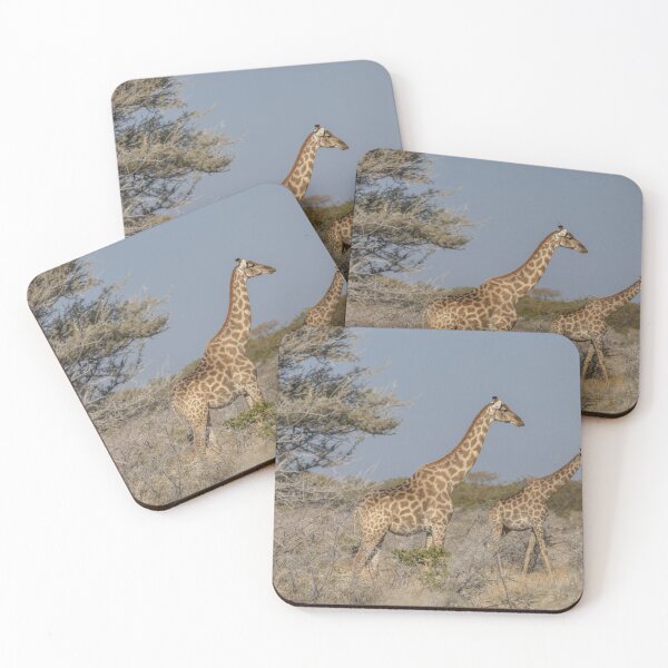 Item preview, Namibia. Etosha National Park. Giraffes.  designed and sold by vadim19.