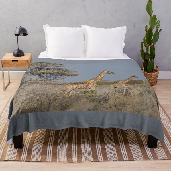 Item preview, Namibia. Etosha National Park. Giraffes.  designed and sold by vadim19.
