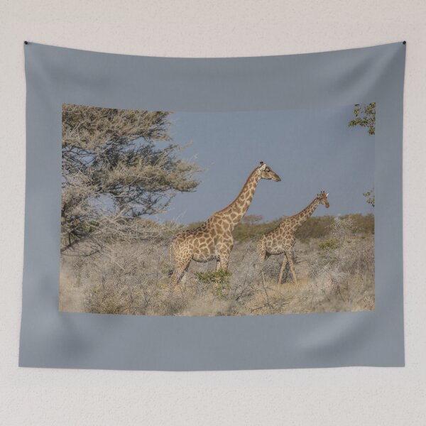 Item preview, Namibia. Etosha National Park. Giraffes.  designed and sold by vadim19.
