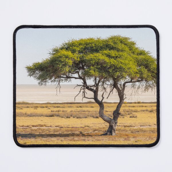 Item preview, Namibia. Etosha National Park. Acacia Tree.  designed and sold by vadim19.