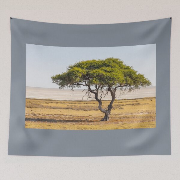 Item preview, Namibia. Etosha National Park. Acacia Tree.  designed and sold by vadim19.