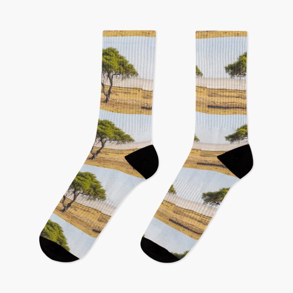 Item preview, Namibia. Etosha National Park. Acacia Tree.  designed and sold by vadim19.