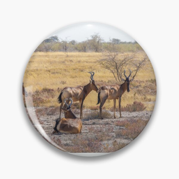 Item preview, Namibia. Etosha National Park. Hartebeests.  designed and sold by vadim19.