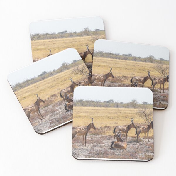 Item preview, Namibia. Etosha National Park. Hartebeests.  designed and sold by vadim19.