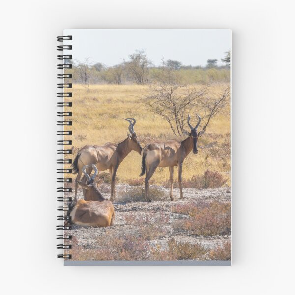 Item preview, Namibia. Etosha National Park. Hartebeests.  designed and sold by vadim19.
