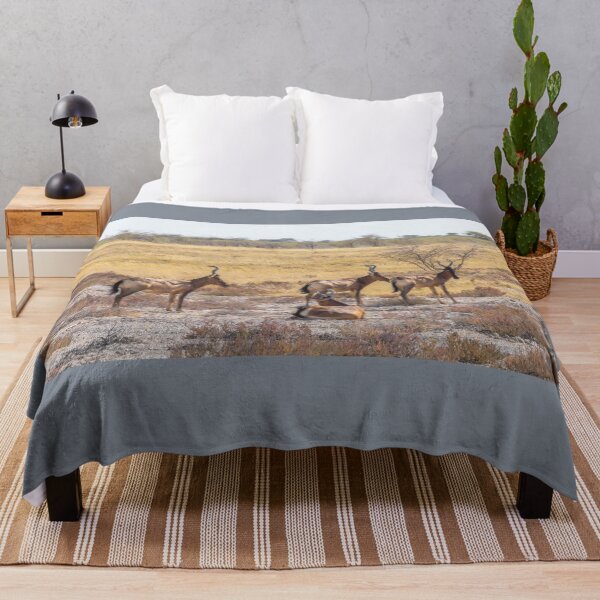 Item preview, Namibia. Etosha National Park. Hartebeests.  designed and sold by vadim19.
